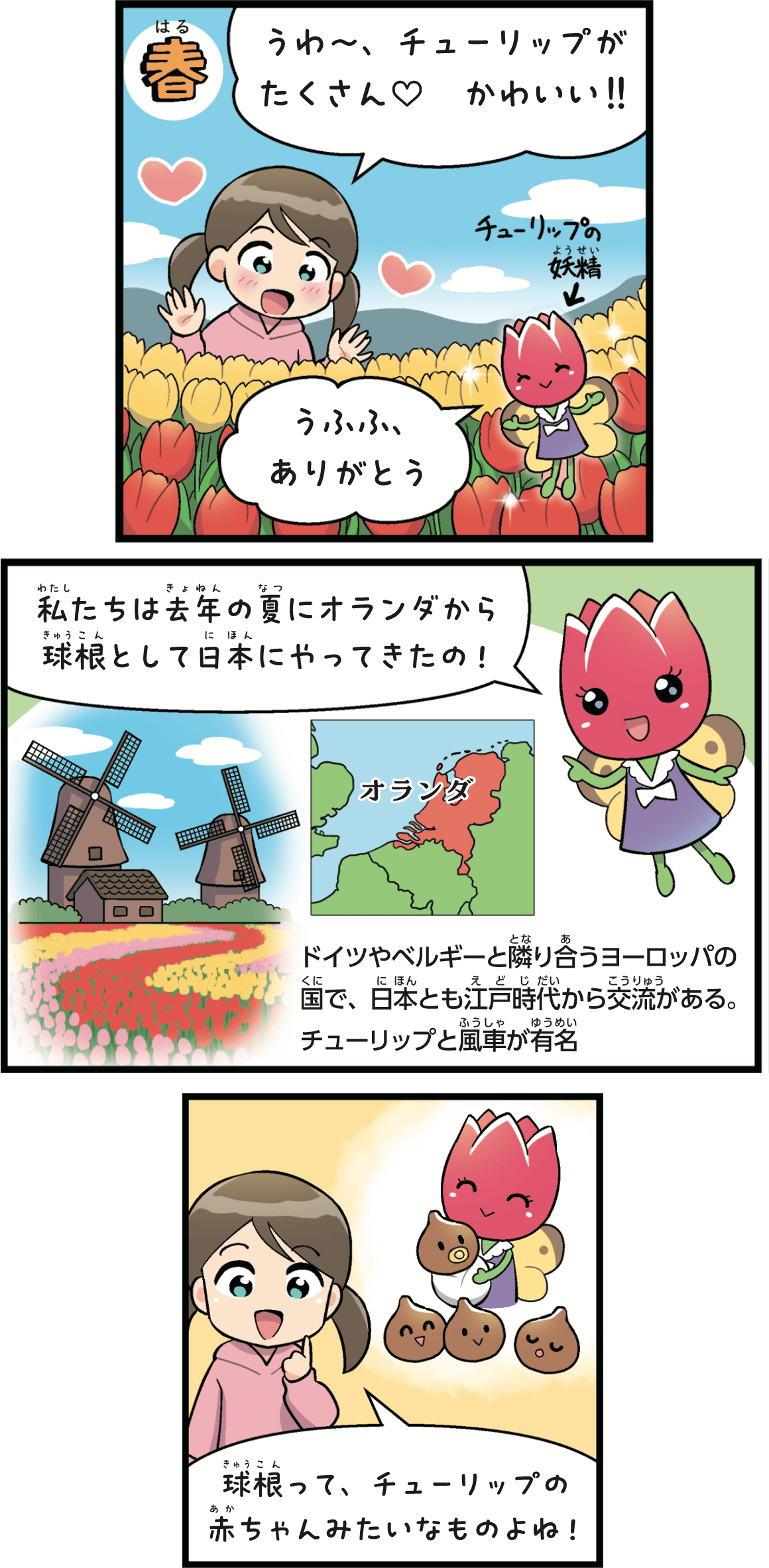 オランダから日本へ　球根たちの大航海