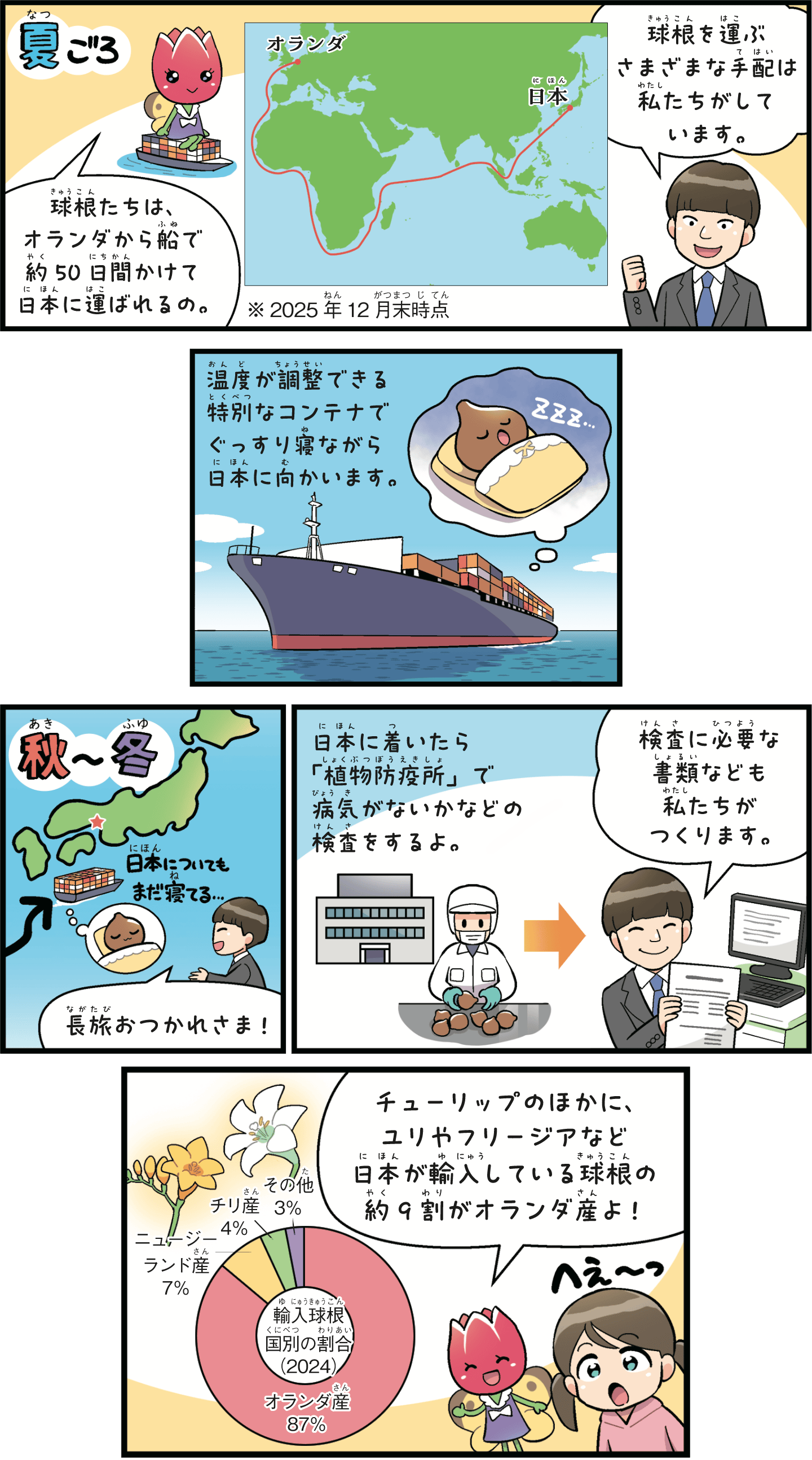 オランダから日本へ　球根たちの大航海