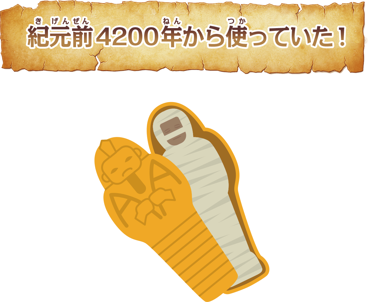 紀元前4200年から使っていた！