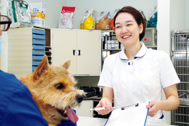 しつけや飼育のアドバイス