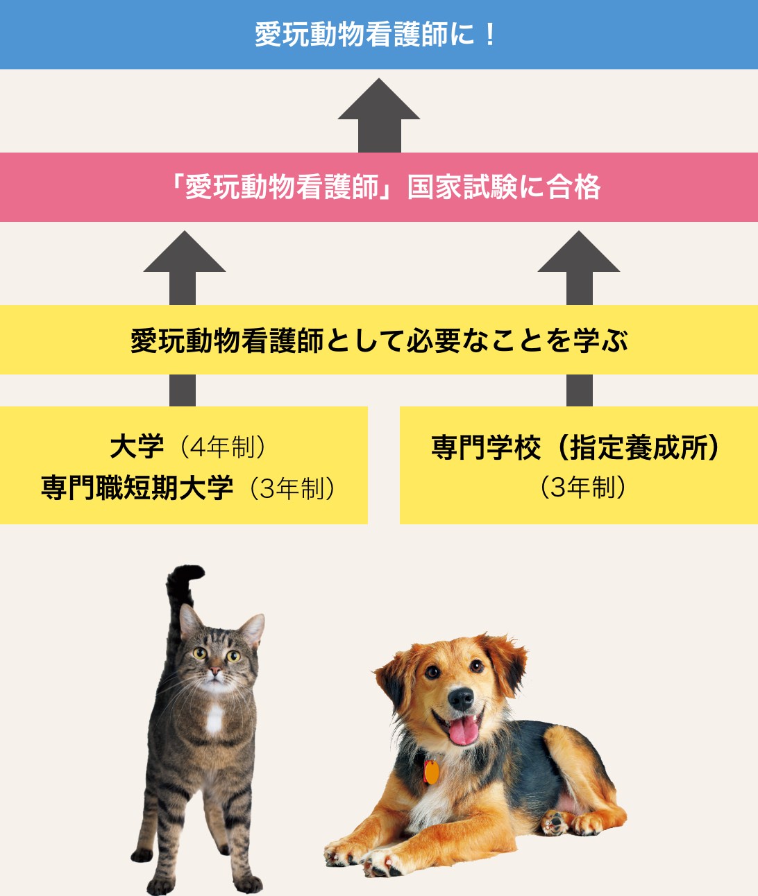 愛玩動物看護師になるには？