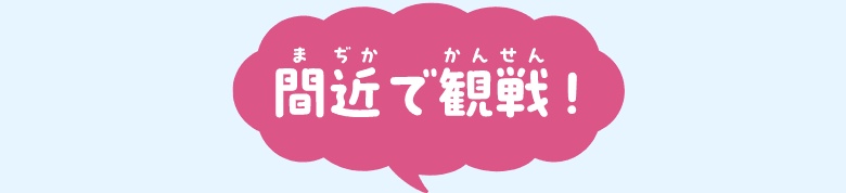 間近で観戦