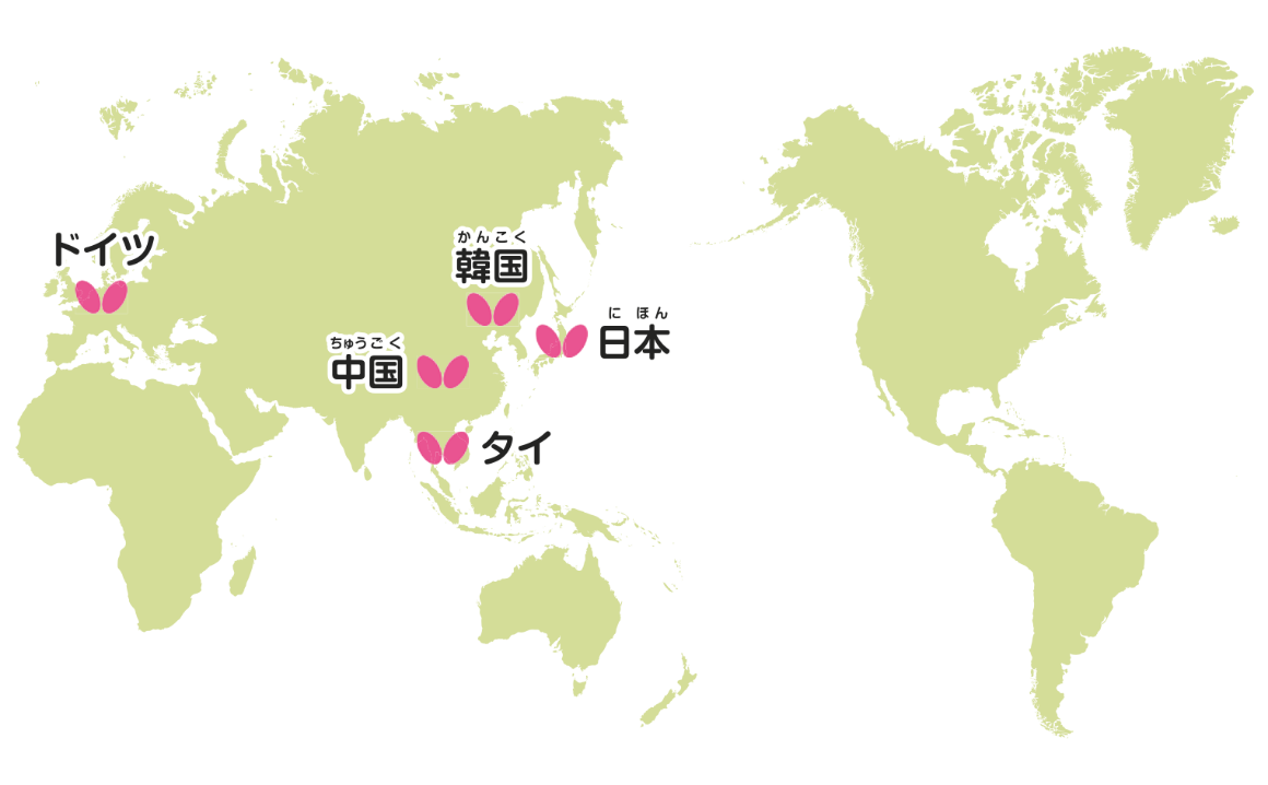 タフライは、現在、4つの海外法人（ドイツ、中国、韓国、タイ）