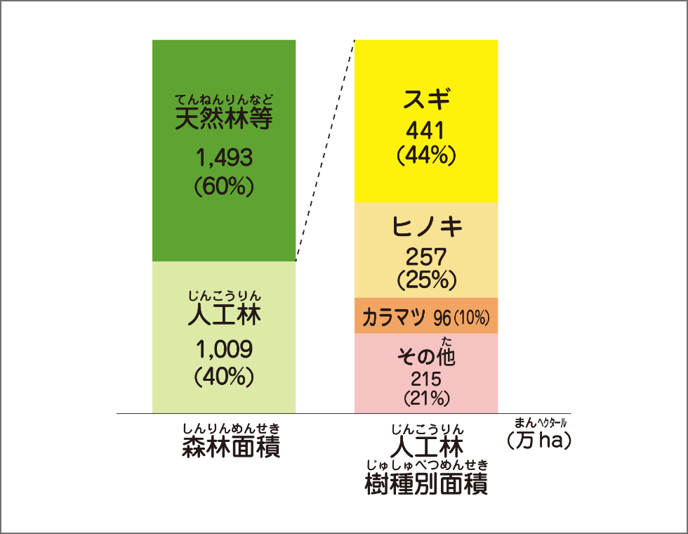 人工林の樹種別面積