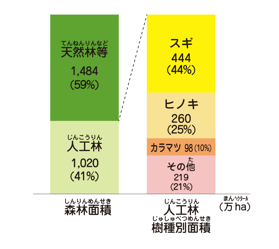 人工林の樹種別面積