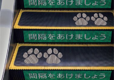 ステップ・ライザー