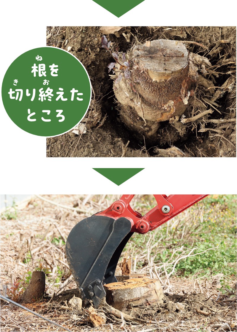 「根こそぎ切るソー」の仕事