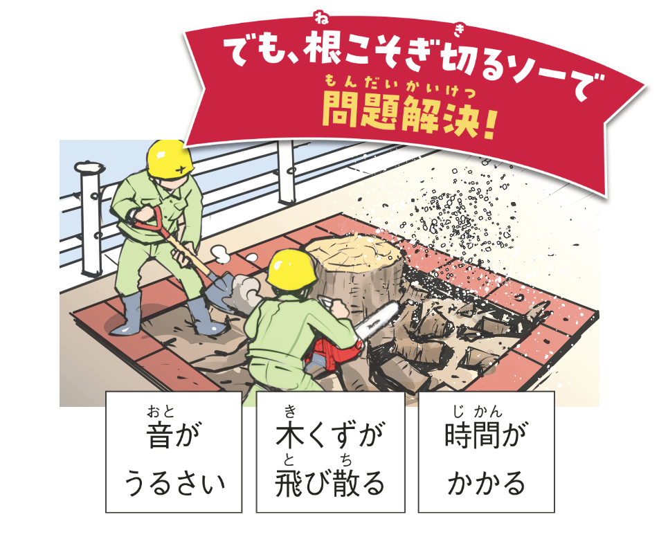 以前はチェーンソーなどで根を切ってから掘り出していた