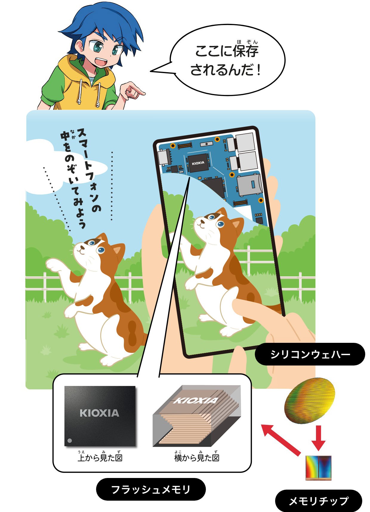 スマートフォンの中をのぞいてみよう