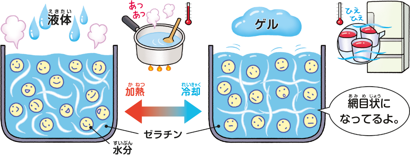ゼラチンの特性