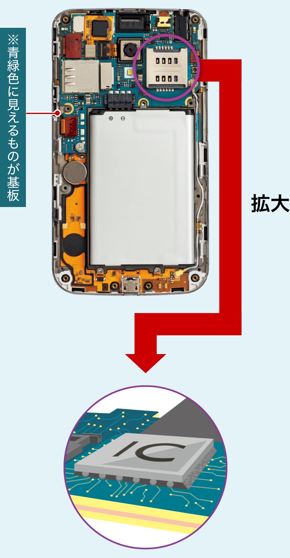 基板を拡大したもの