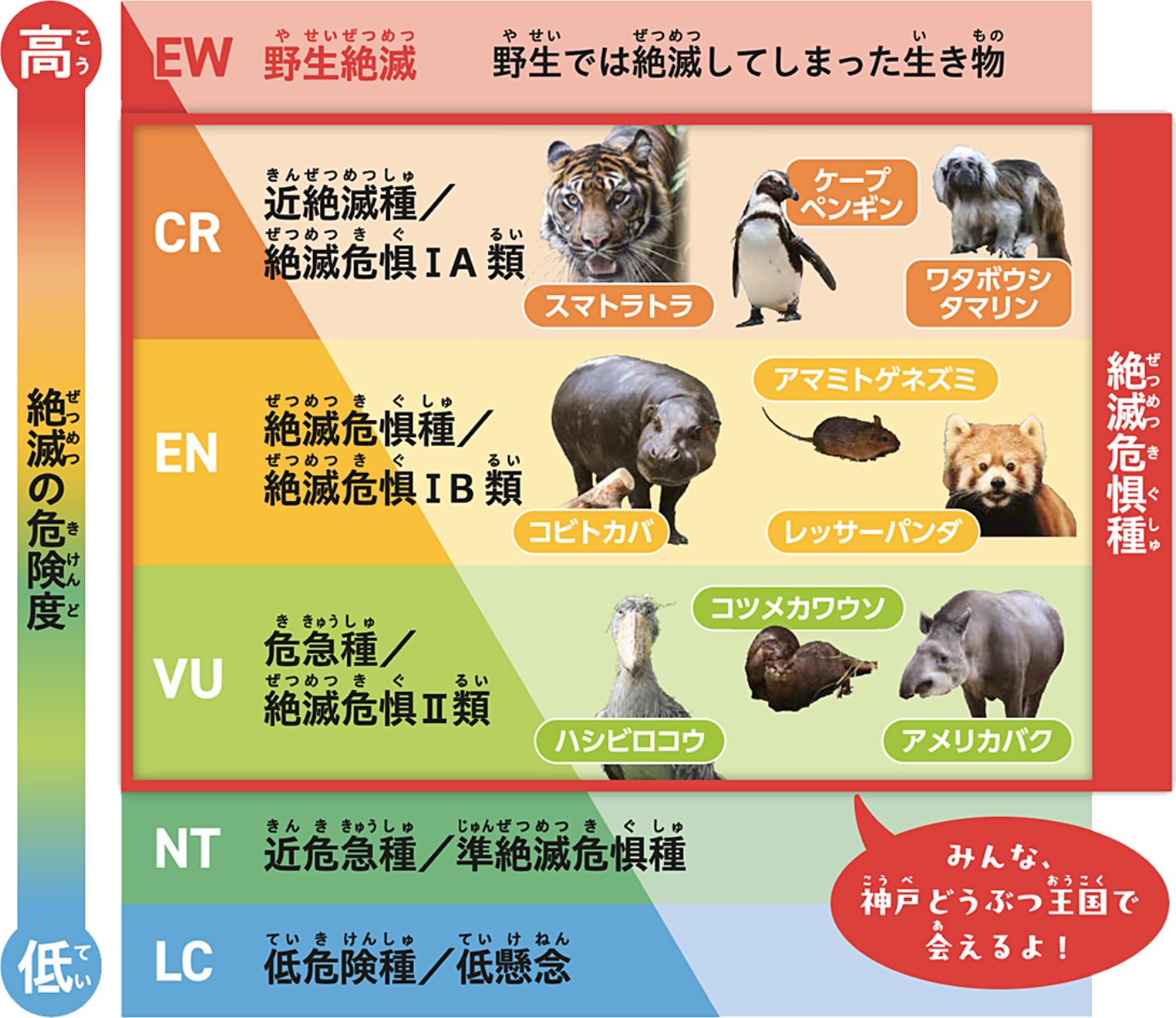 絶滅危惧種の動物たち