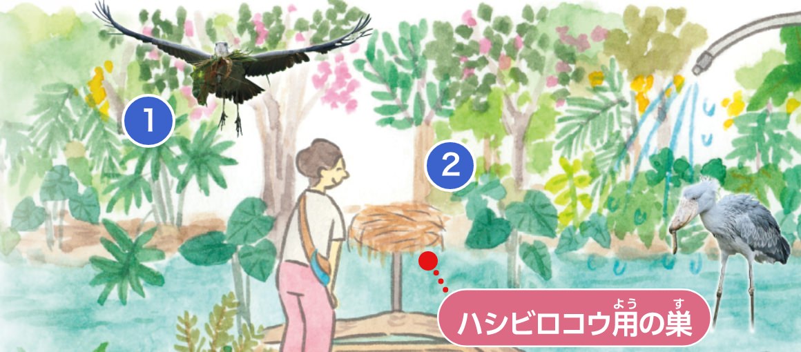 ハシビロコウ生態園 Big bill