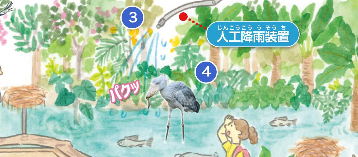 ハシビロコウ生態園 Big bill