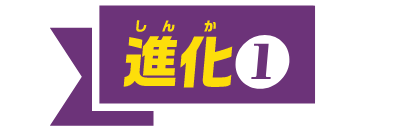 進化①
