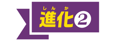 進化②