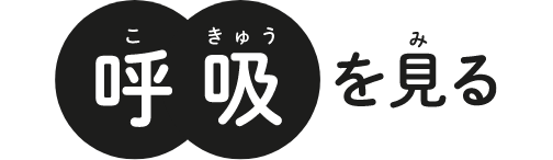 呼吸を見る