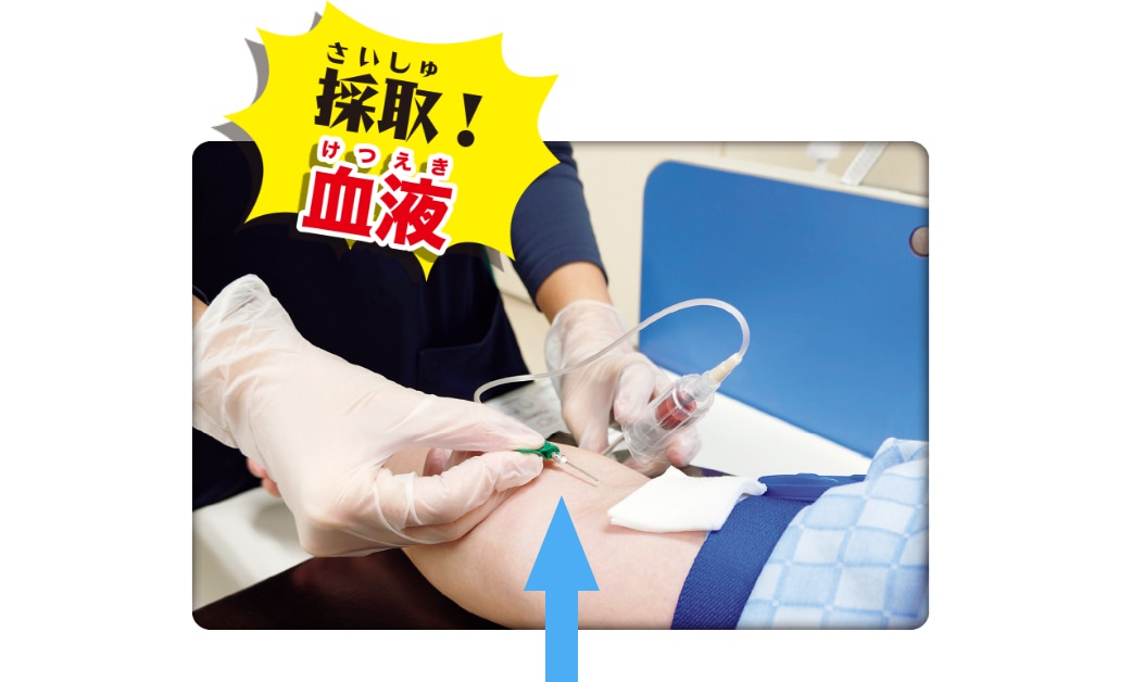 採取!血液
