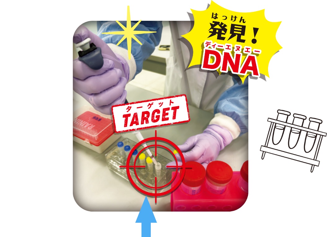 発見!DNA