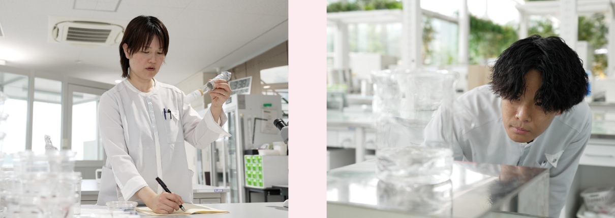 どんなふうに薬剤の研究をしているの?