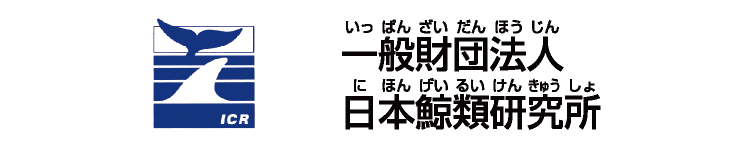 一般社団法人日本鯨類研究所