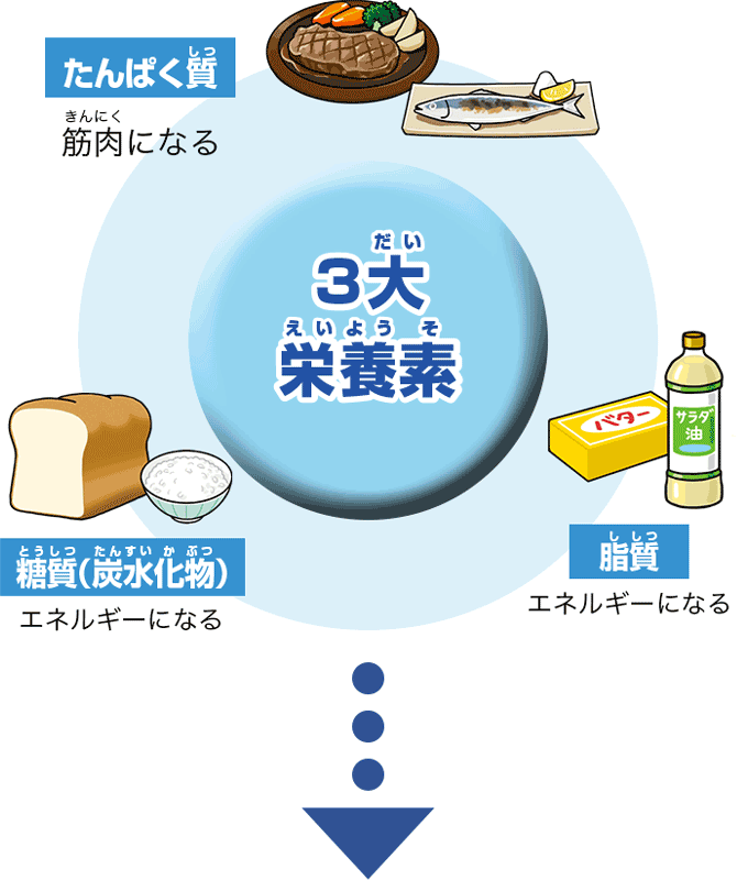 3大栄養素