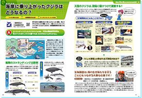 2025年度　おしごと年鑑